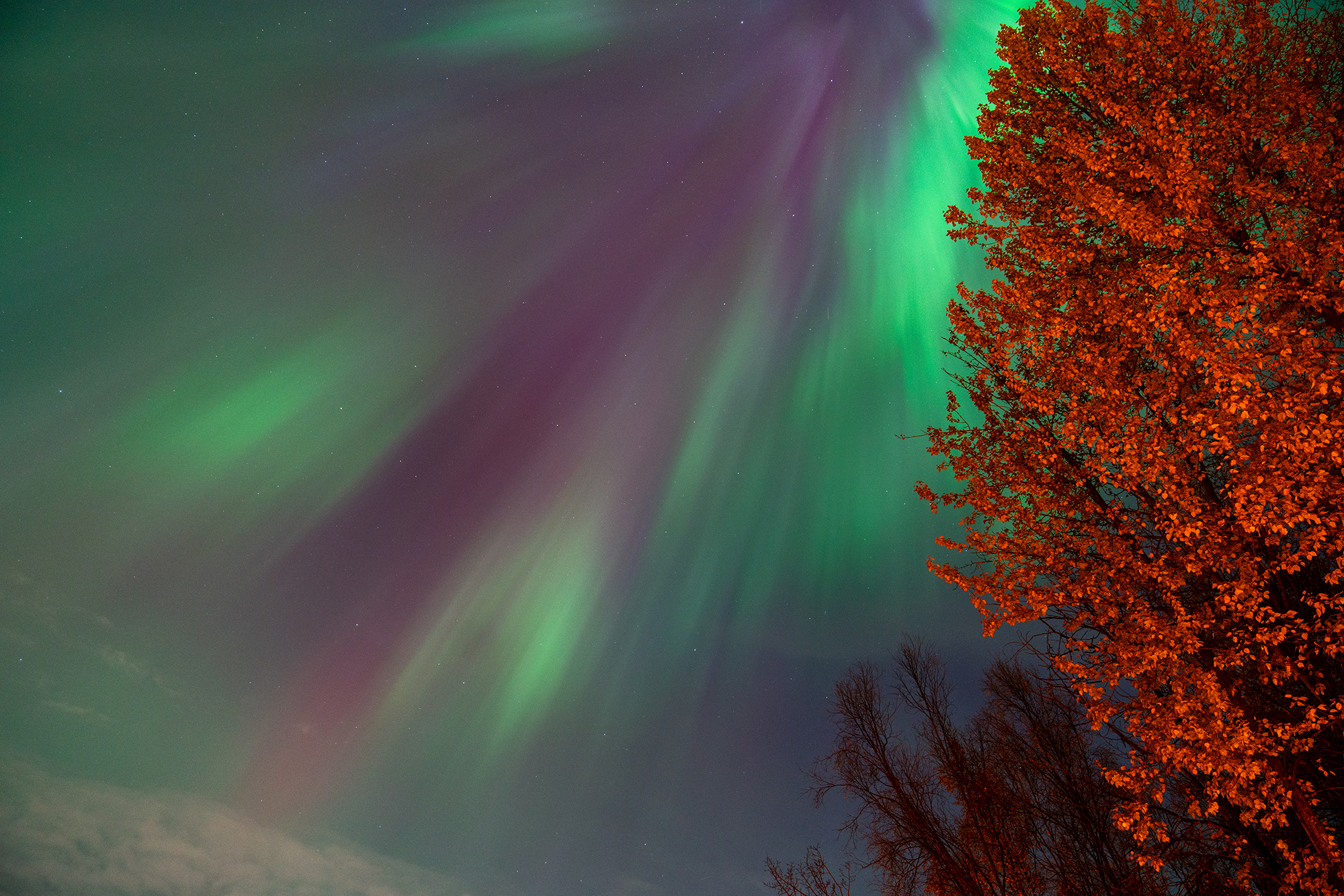 ALASKA, UNITED STATES - OCTOBER 07: Northern lights (Aurora Borealis) illuminate the sky in Alaska, United States on October 07, 2024. (Photo by Hasan Akbas /Anadolu via Getty Images)