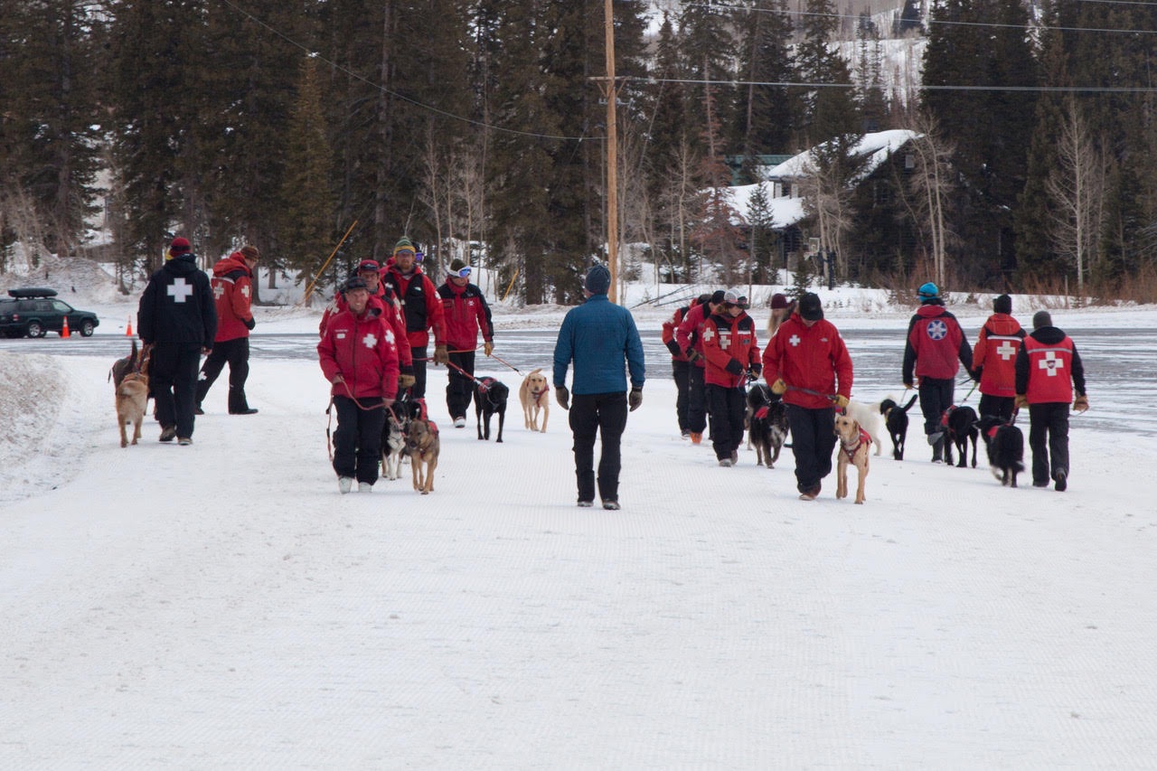 humans in rescue jackets each walk one dog on a leash in the snow