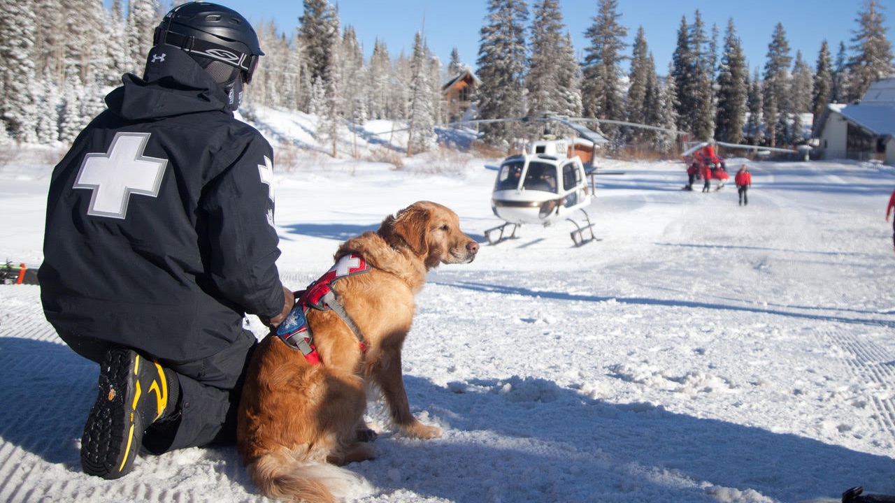 a man in a rescue jacket sits on the snow with a dog. a helicopter is landing in the background