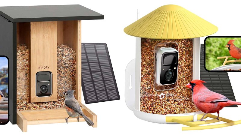 Netvue Birdfy bird feeders on-sale for Prime Day