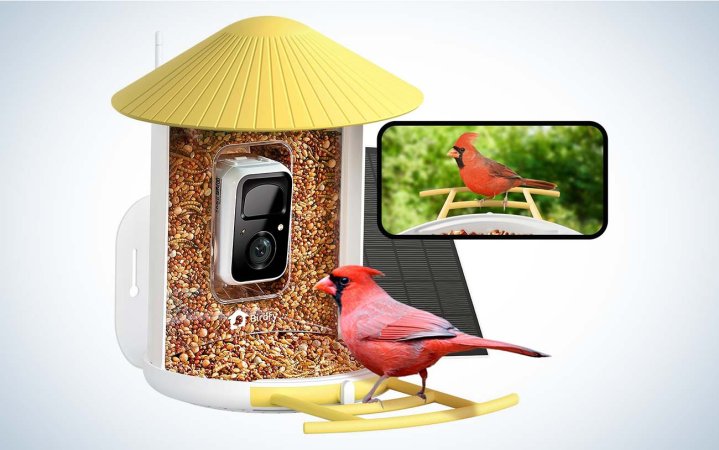 birdfy solar bird feeder