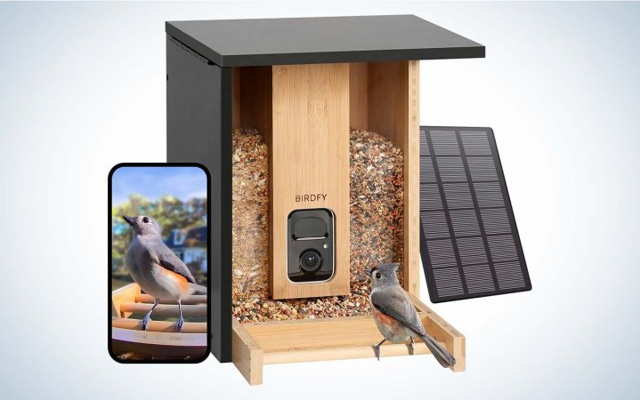 birdfy upgraded video bird feeder