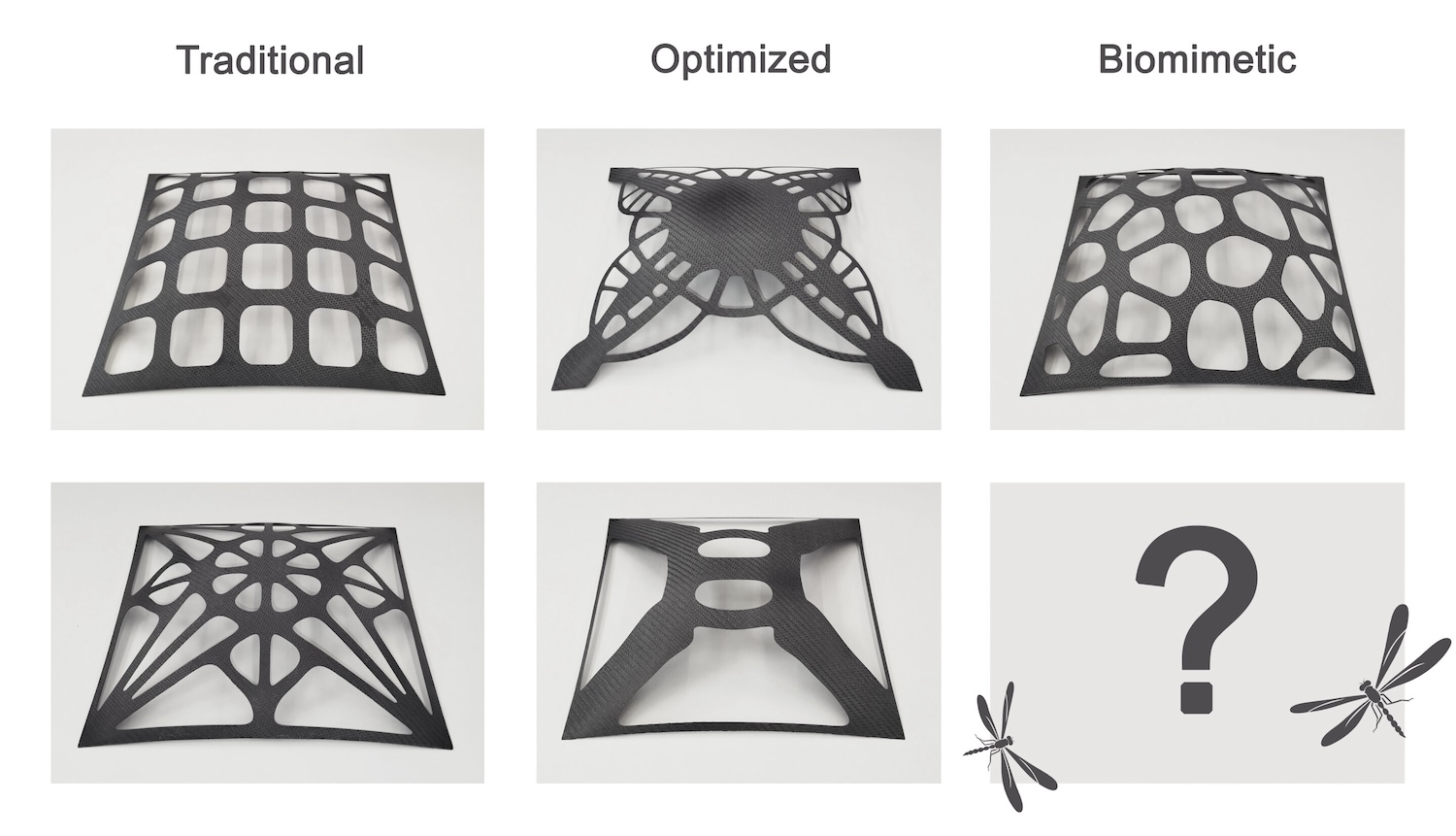 Five stiffening rib patterns investigated by the researchers. The left column corresponds to a coffered ceiling (top) and a cross vault (bottom). Two cases of topological optimization are presented in the center column. On the right is the Voronoi layout, which resembles patterns found in nature. But could it use some further insect-inspired improvement? Credit: Modified by Nicolas Posunko/Skoltech PR from Anastasiia Moskaleva et al./Thin-Walled Structures