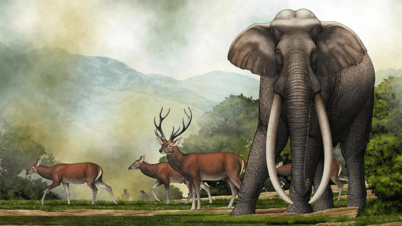 An illustration showing an imposing fully-grown male Palaeoloxodon turkmenicus wandering India’a Kashmir Valley, 400,000 years ago, towering over a herd of Central Asian red deer. In the distance, a small band of prehistoric humans set up a campfire to cook their meal.