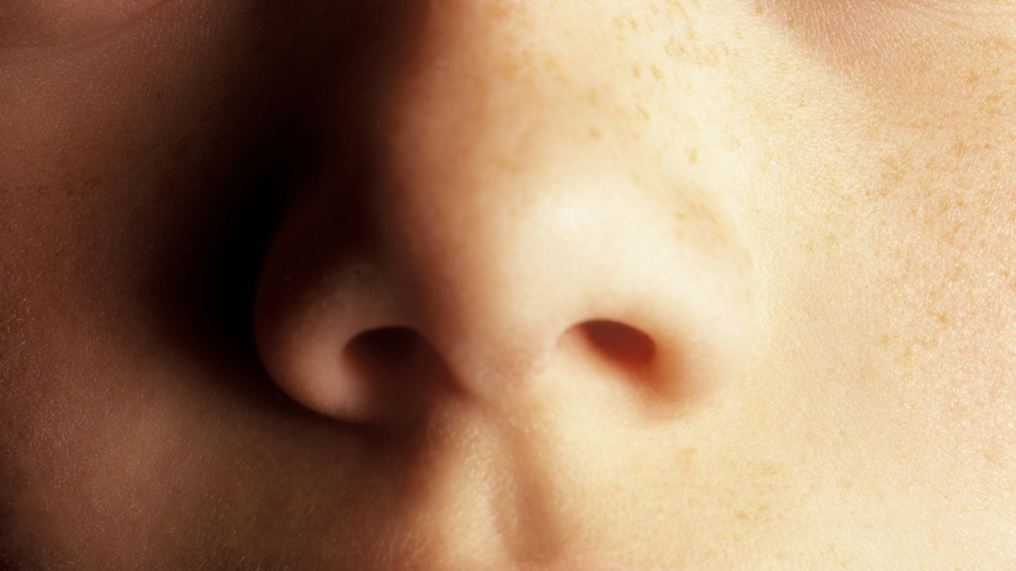 nose closeup