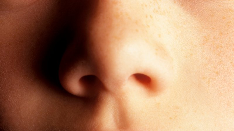 close up of nose