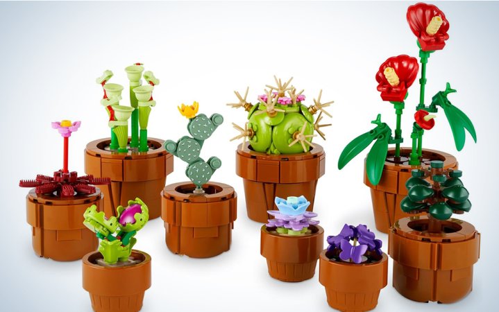  Lego cactus garden kit is one of the best gifts for home