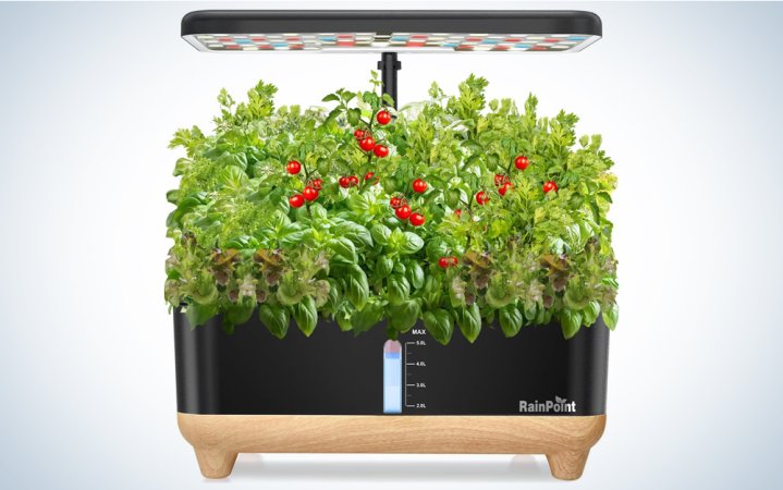  Rainpoint indoor garden is one of the best gifts for home