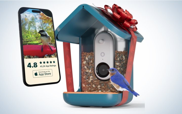  Bird Buddy is one of the best gifts for home