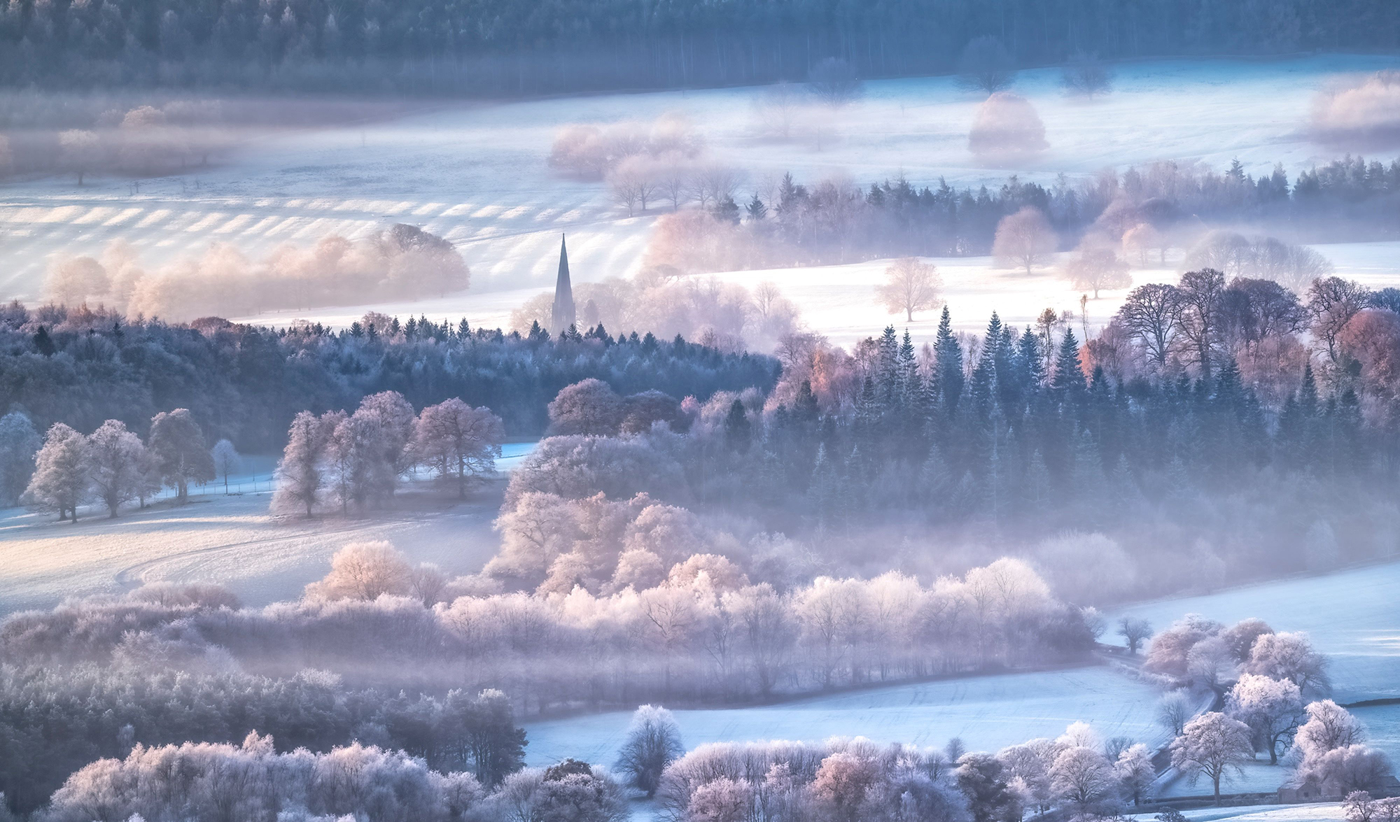 a dusting of snow on trees in a rural area