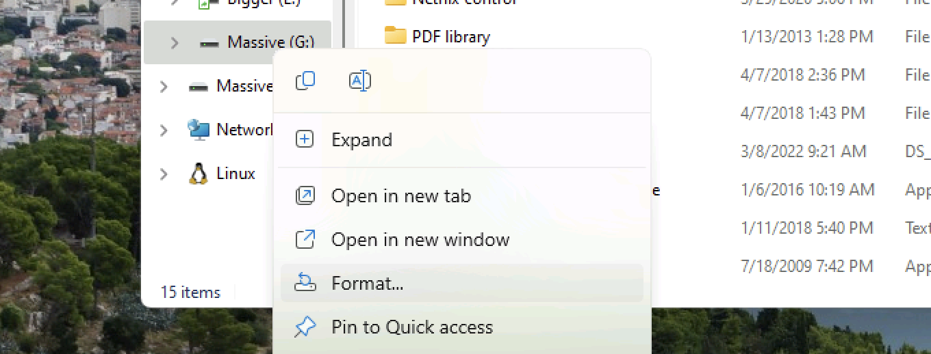 file explorer screenshot