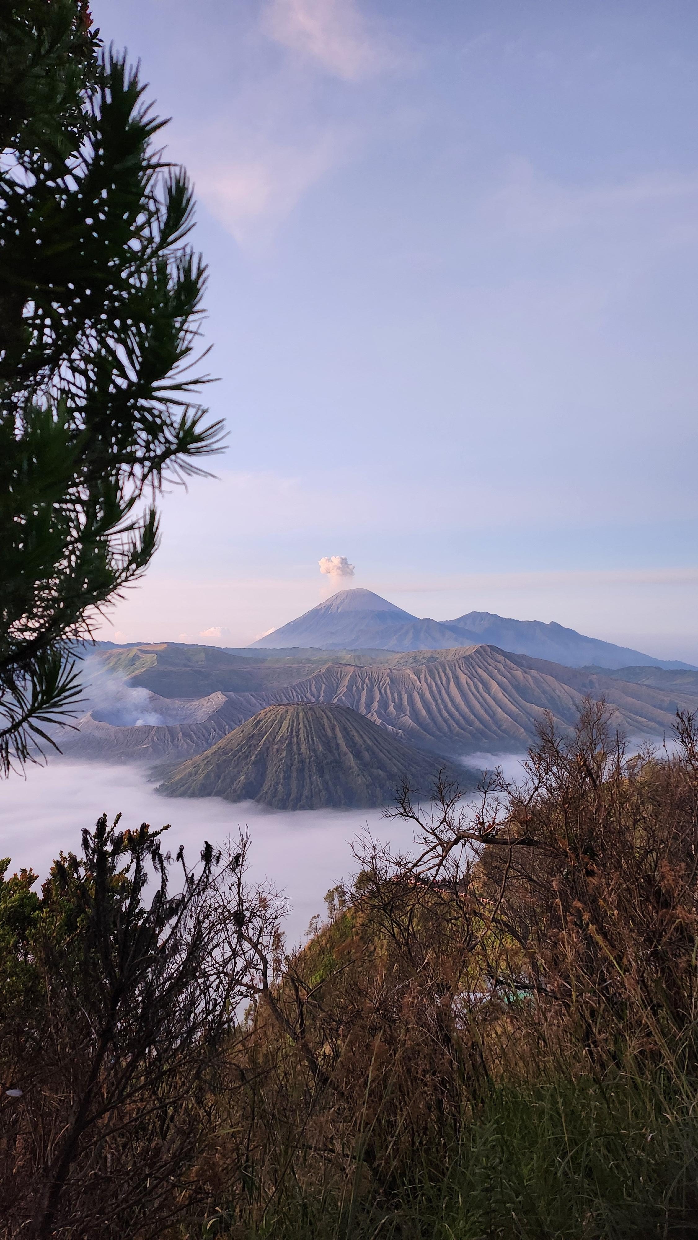 clouds below the peaks of a smoking volcano and mountains. trees in foreground