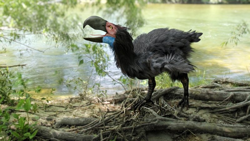 Illustration of a terror bird standing by river