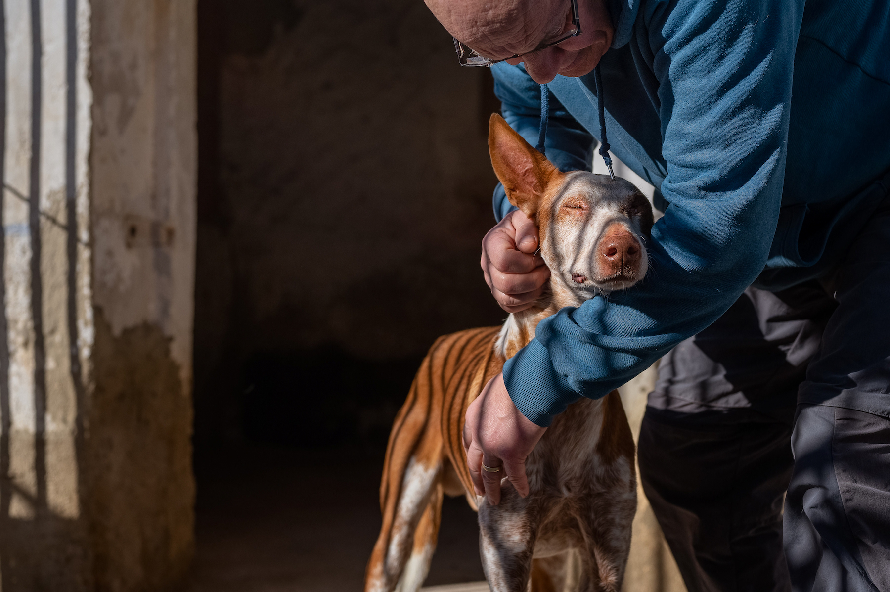 an older man hugs a brown dog with large ears whose eyes are closed