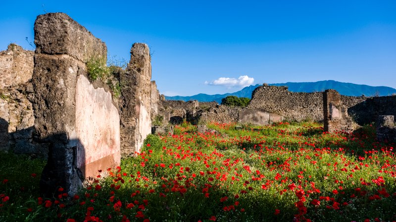 Pompeii ruins