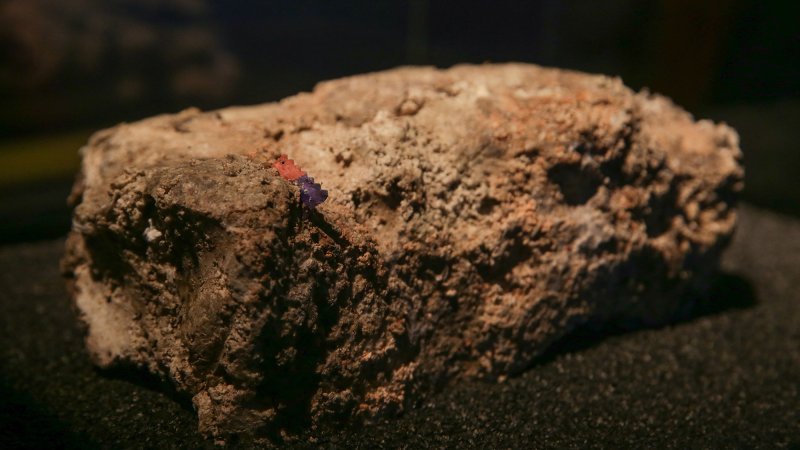 a large lump of fat, oil, grease, and other refuse dug up from a sewer on display in a musuem