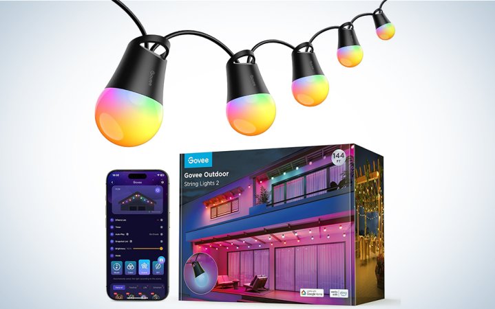  Govee permanent outdoor holiday lights bulbs