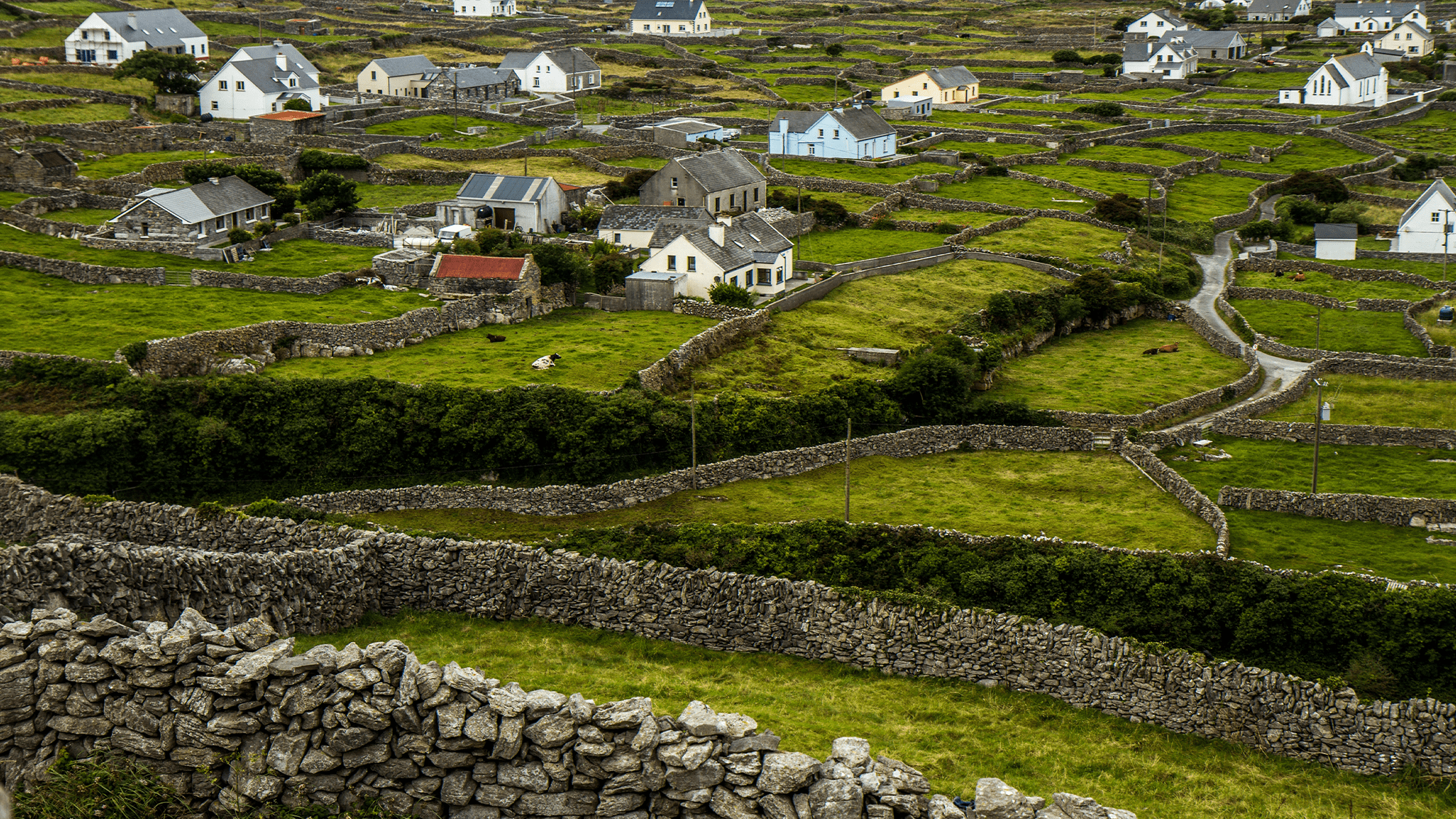 stone walls separating several small houses in ireland