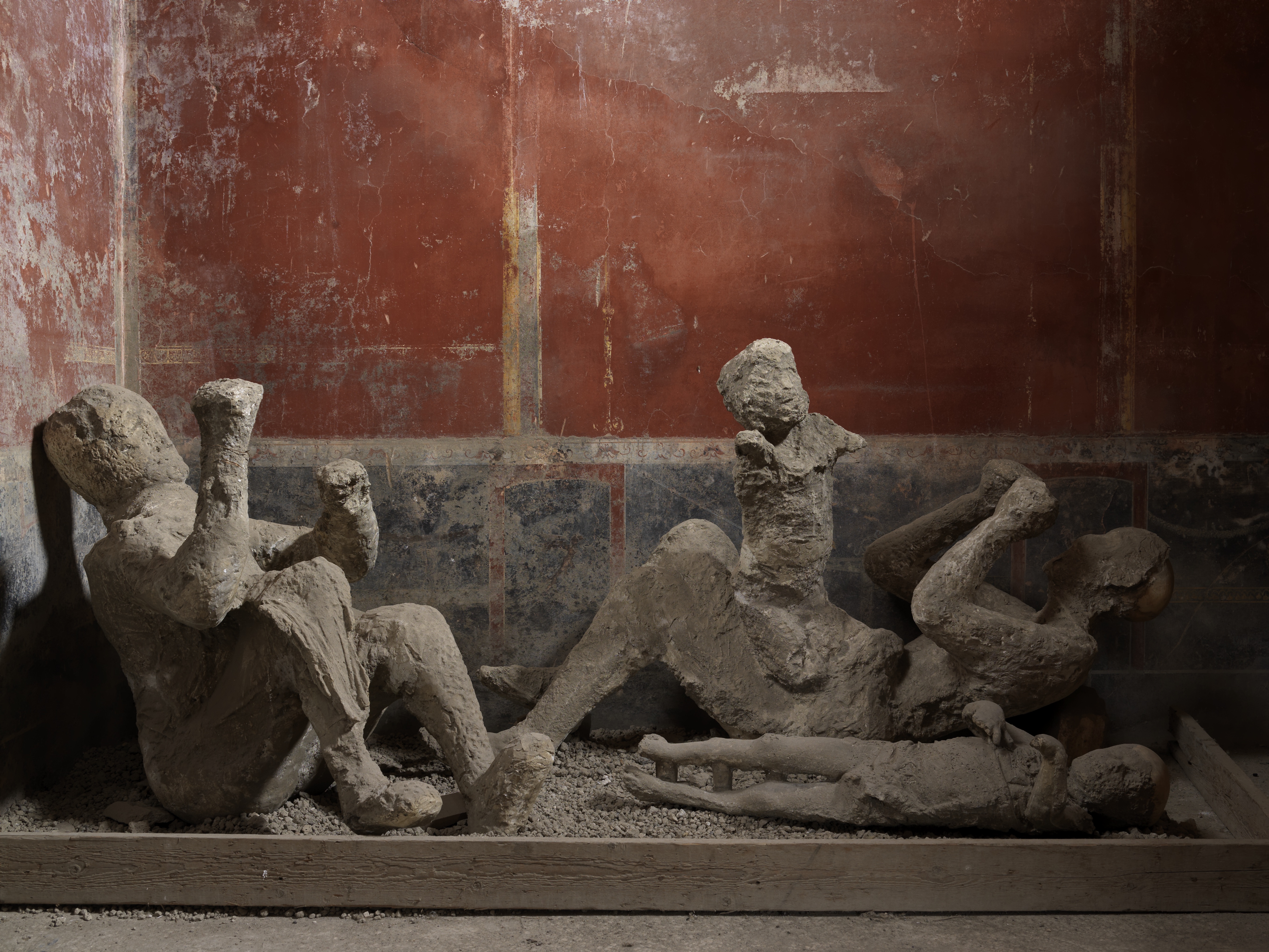 the remains of two adults and two children from the archaeological site of Pompeii. 