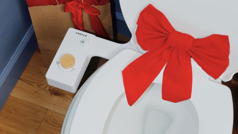 Tushy Bidet on a toilet with a bow on it