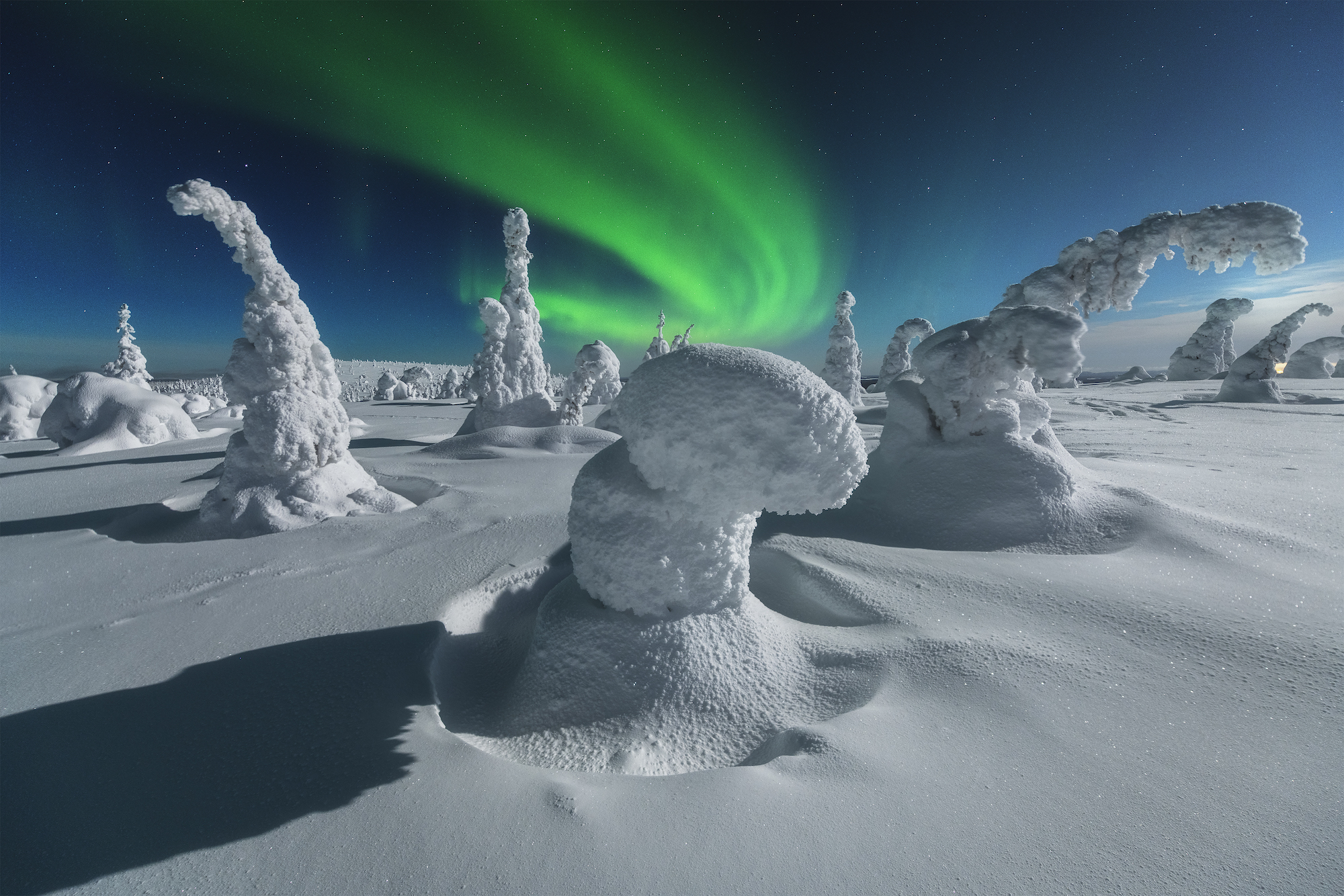 trees covered in snow bend under the weight of the snow on a clear night. above, a green aurora dances through the sky