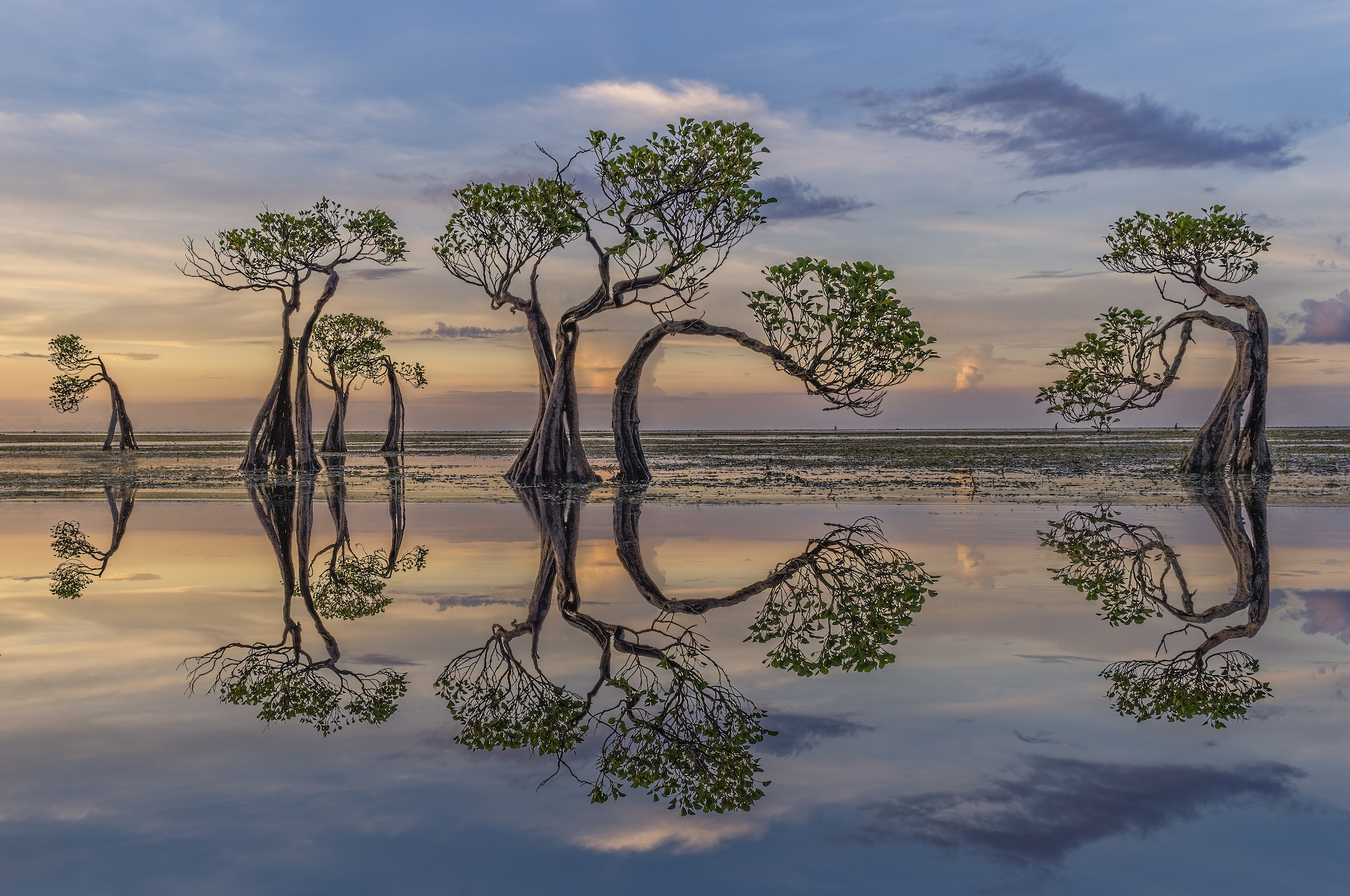 13 jaw-dropping International Landscape Photographer of the Year images thumbnail