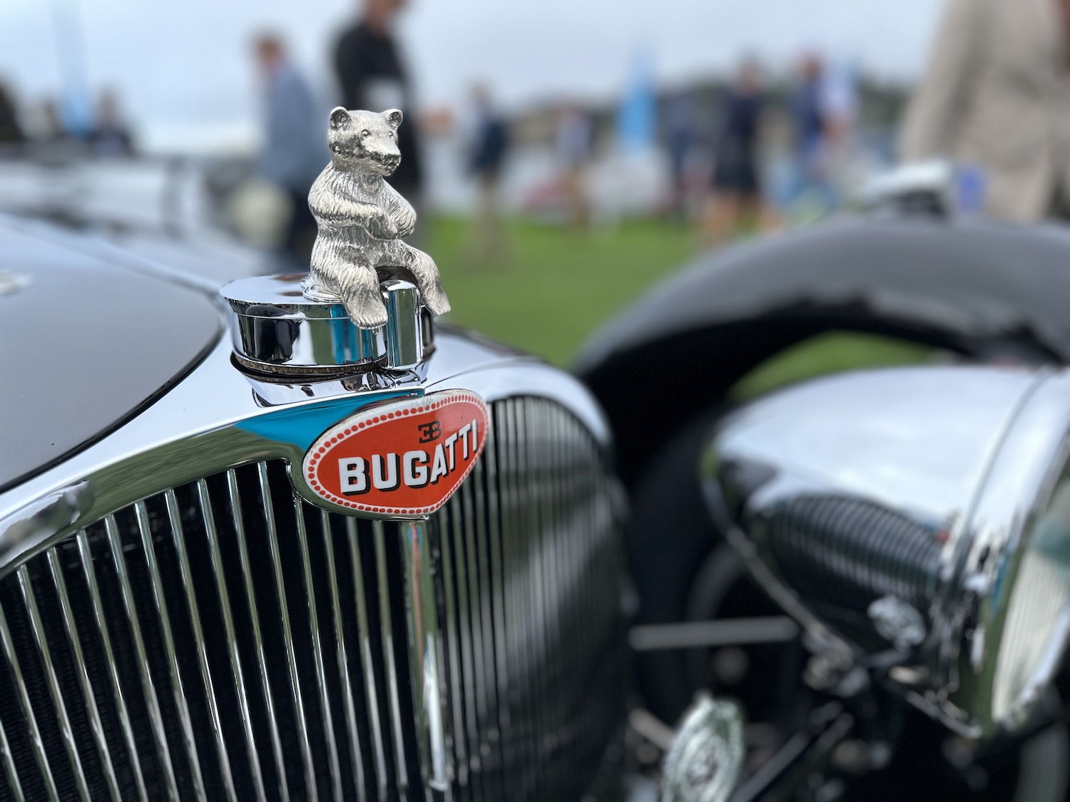 bear hood ornament