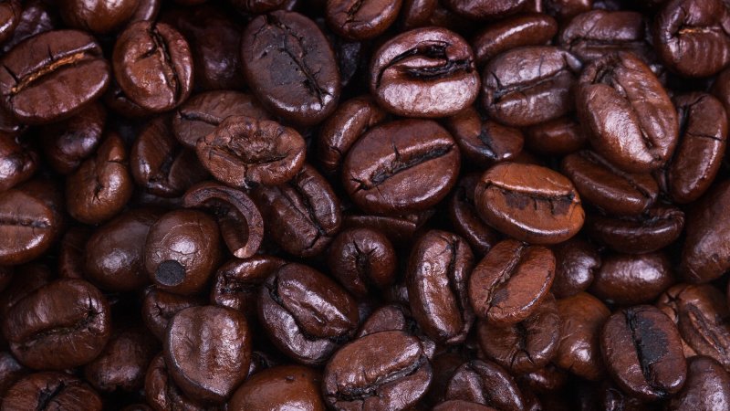 Close up of dark roast coffee beans