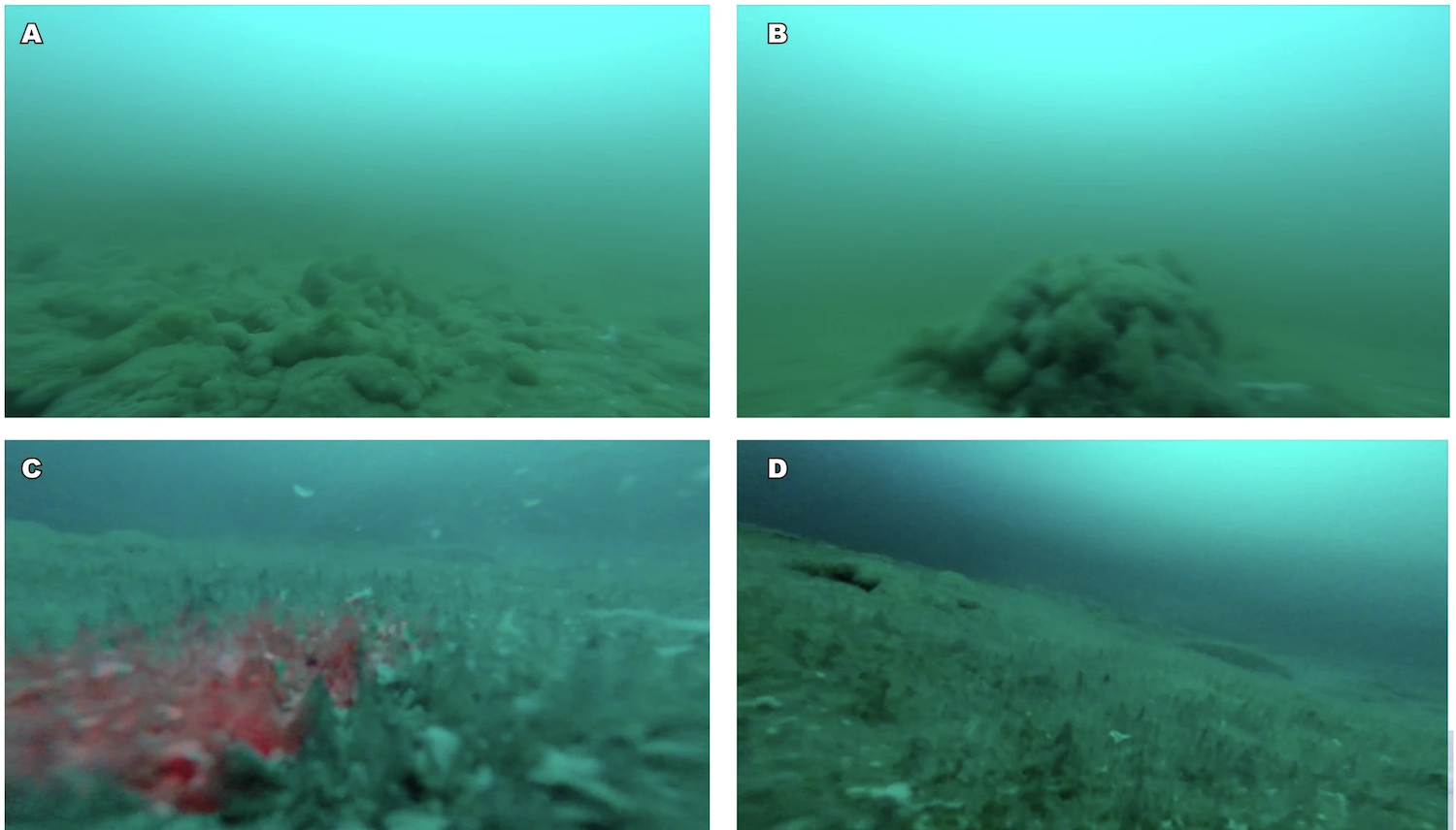 Underwater survey images of the bottom of Enigma Lake made at four different drilling point