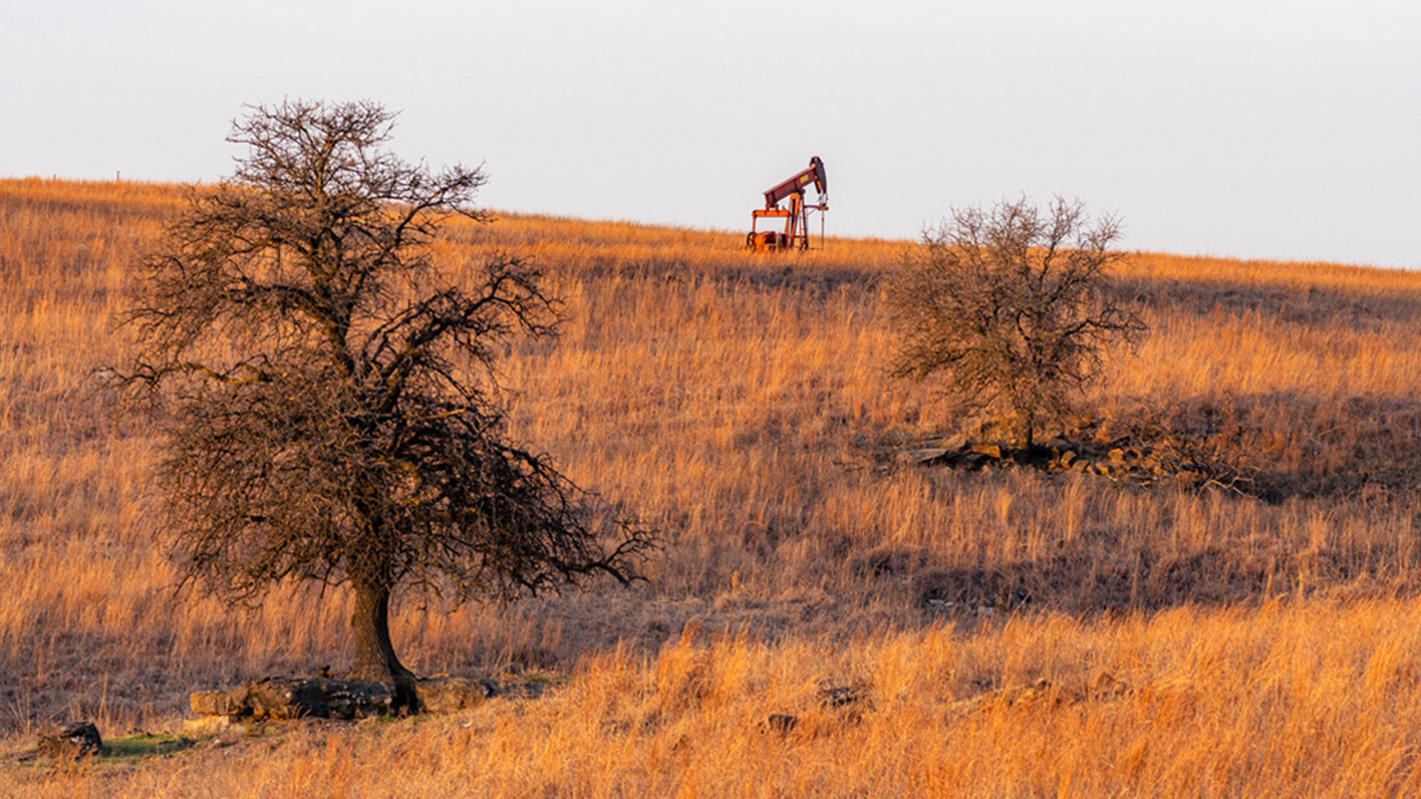 ‘Una aguja en un pajar’: cómo la IA está ayudando a descubrir pozos petroleros abandonados