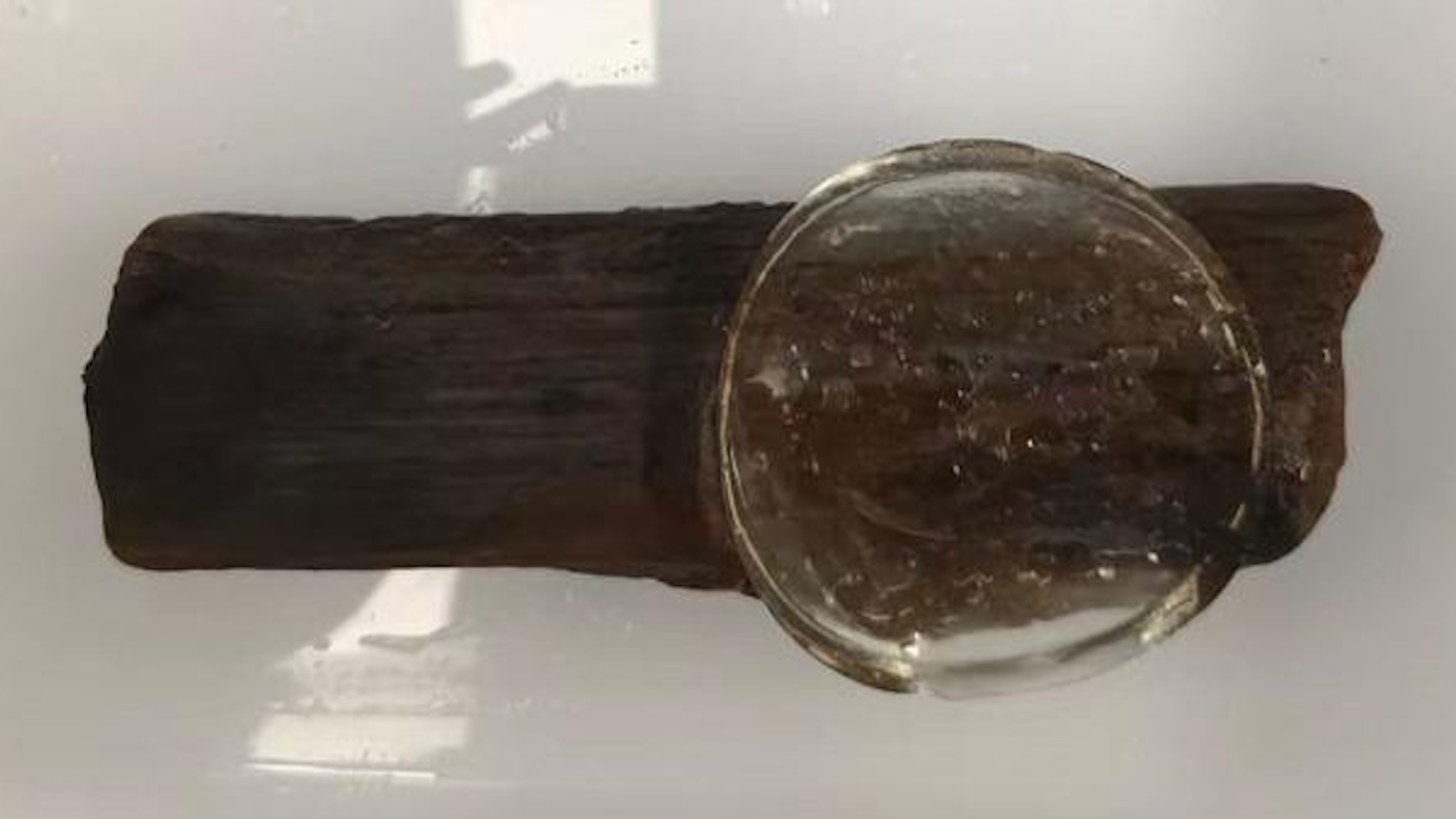 Una nueva sustancia viscosa conserva muestras de naufragios de madera de hace 800 años