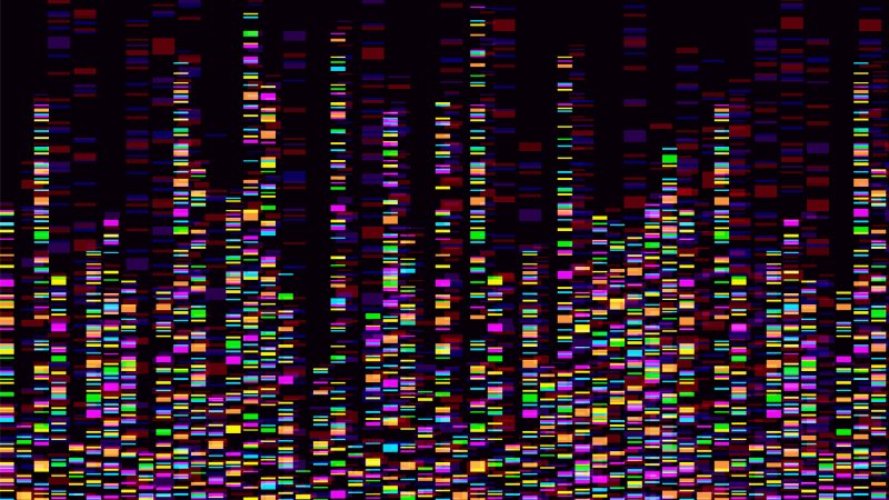 dna test infographic