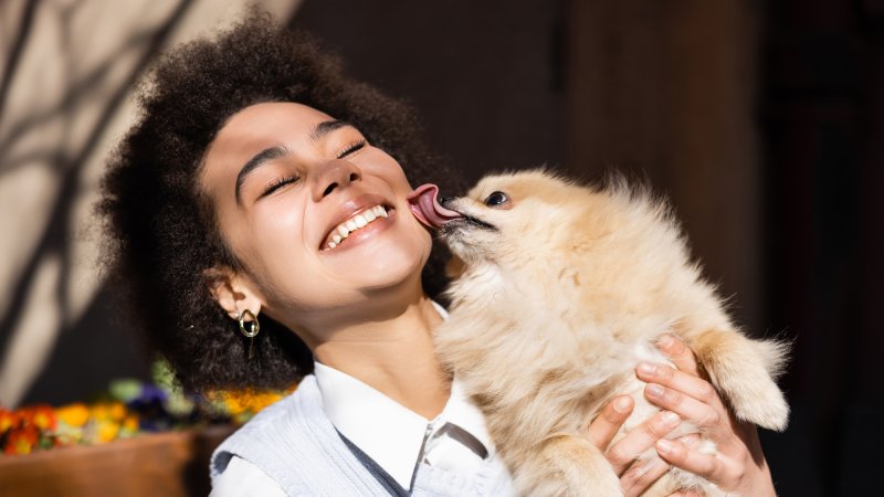 dog kissing human licking face