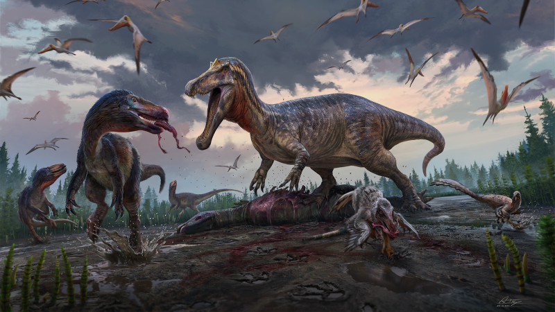 An illustration of an Early Cretaceous floodplain in southeastern England, 135 million years ago: a spinosaur (center) takes over the carcass of an ornithopod, much to the annoyance of the smaller tyrannosaurs (left) and dromaeosaurids (bottom right).