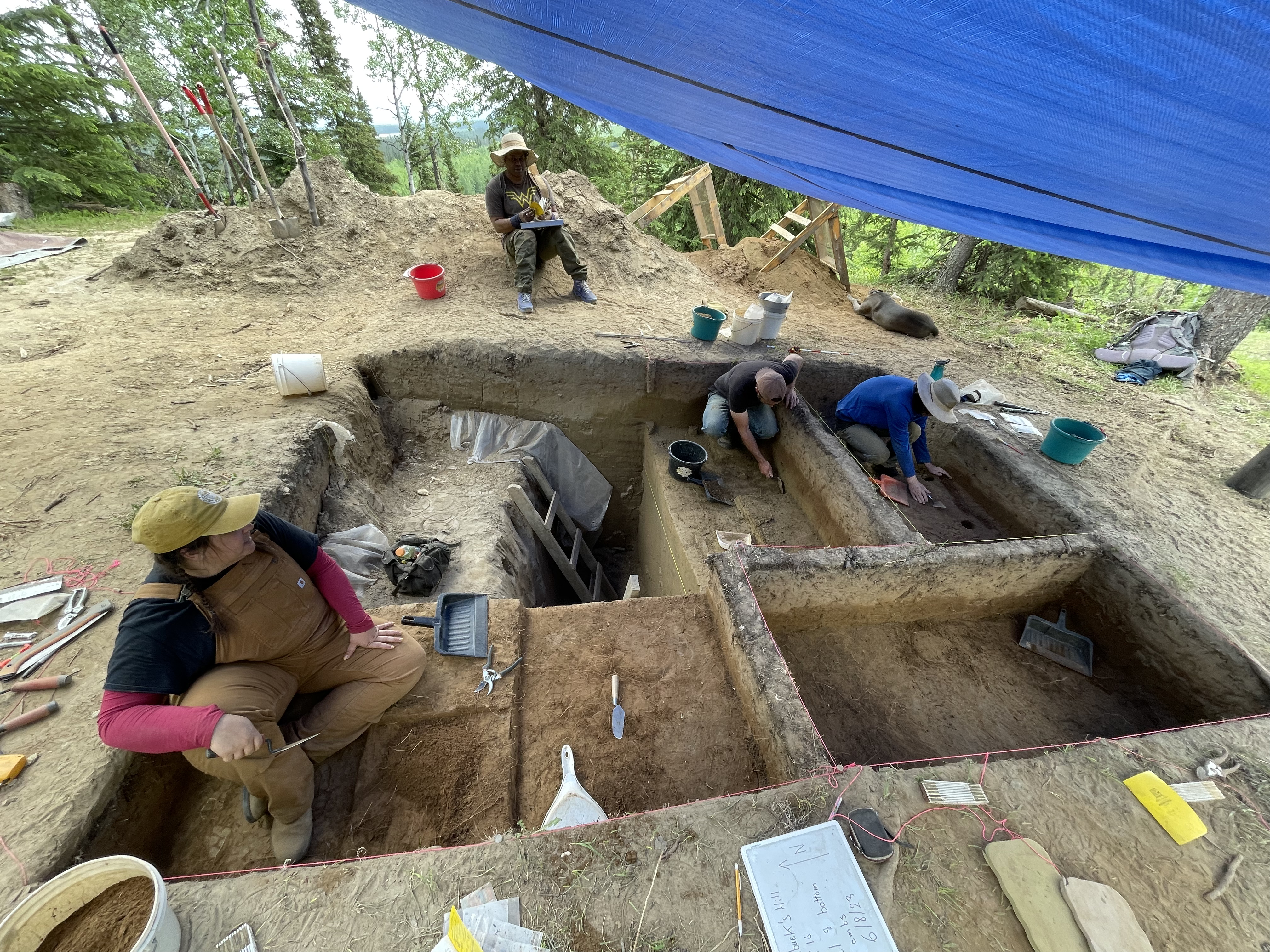 four archeologists take part in an excavation in alaska. tools are spread out and there are 5 distinct areas where they are digging