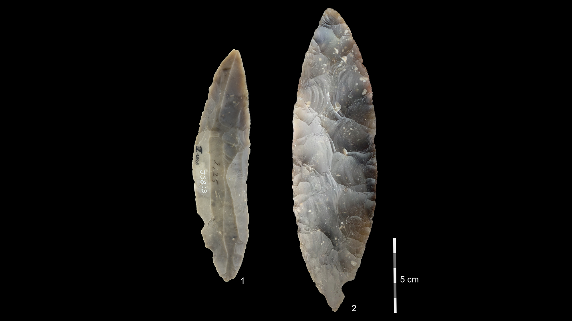 Stone tools from the Lincombian–Ranisian–Jerzmanowician (LRJ) culture uncovered at Ranis. Item 1 is a partial bifacial blade point characteristic of the LRJ. Item 2 also contains finely made bifacial leaf points. CREDITL © Josephine Schubert, Museum Burg Ranis.