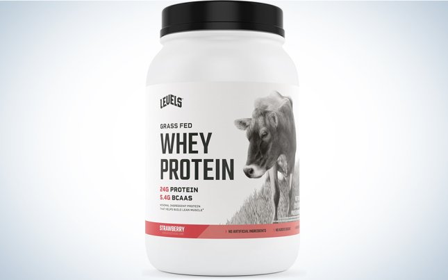 Levels protein on sale for cyber monday