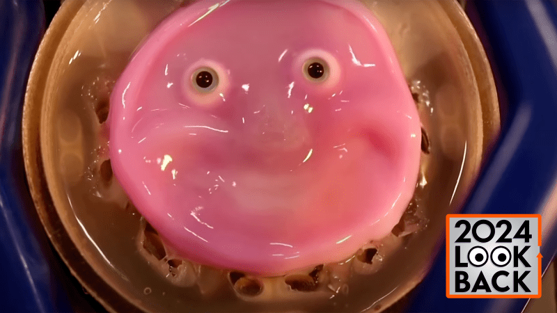 A smiling robot's skin in action.