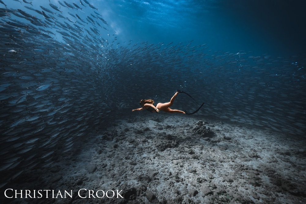 a diving swimmer swims against a large school of fish