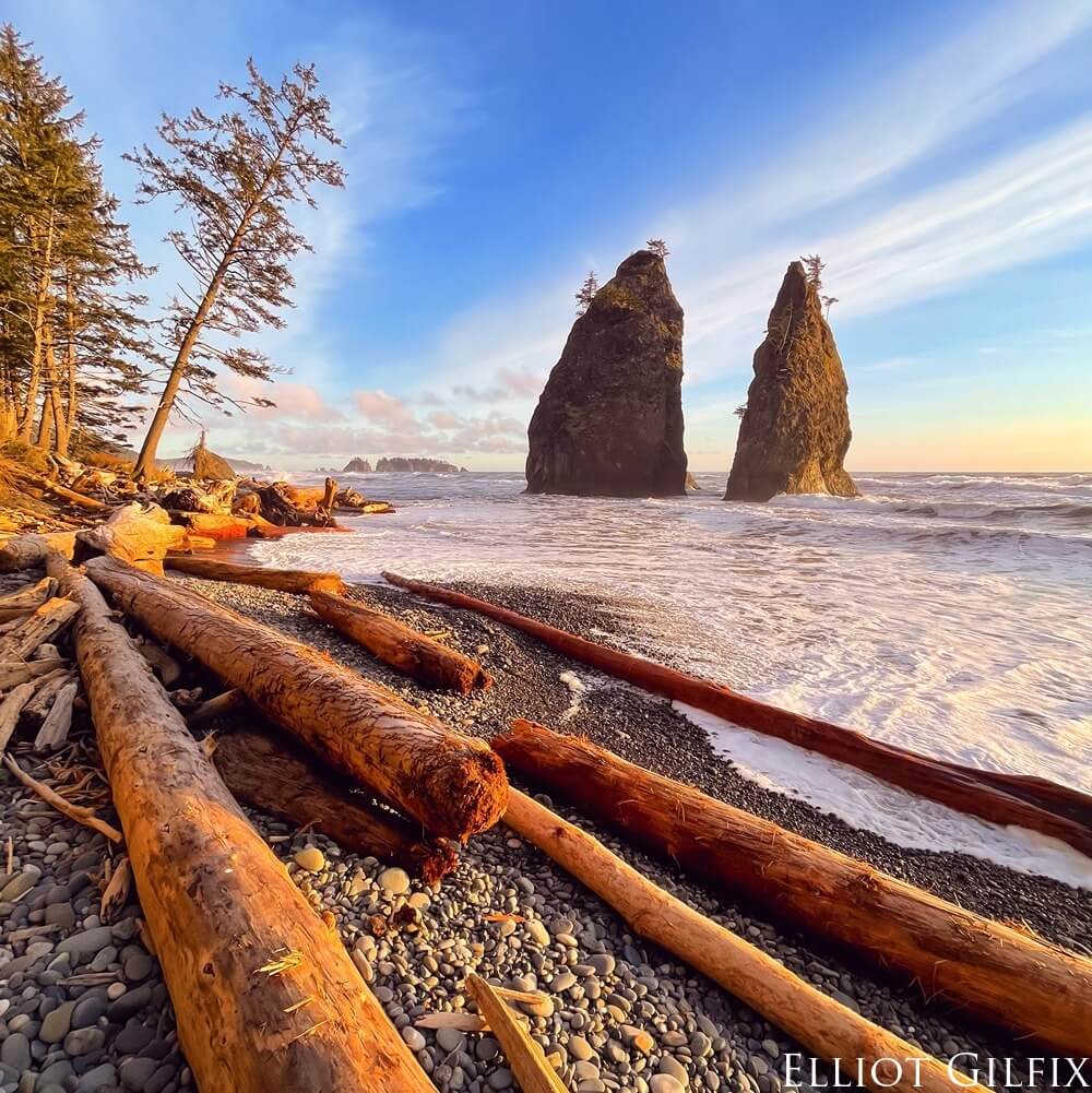 rocks sticking up on a coastline. logs litter the shoreline