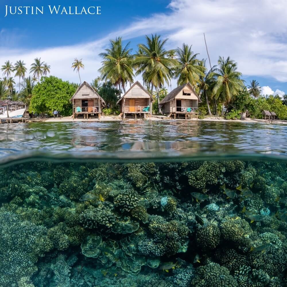 beach cottages above the water line. coral seen below the water line