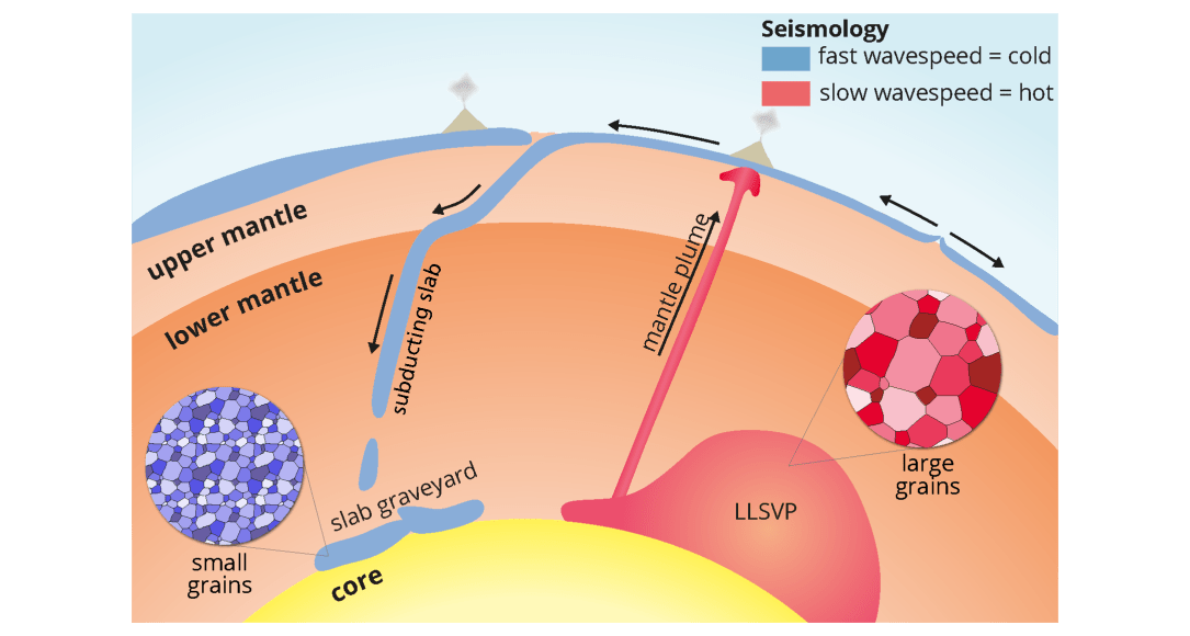 Schematic representation of the process of subduction of tectonic plates and of a mantle plume rising from an LLSVP. In the latter, the mineral grains are larger than those in the subducted plates. Credit: Utrecht University