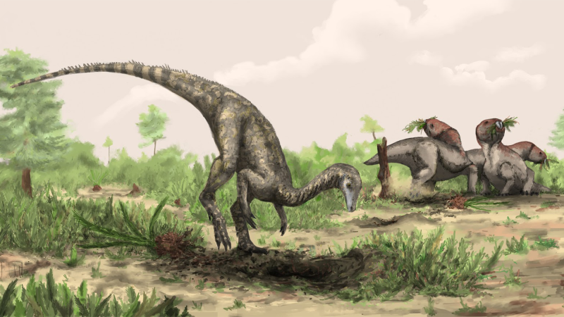 an illustration of a small dinosaur with its tail in their air