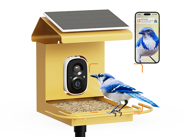 Interior image for solar-powered smart bird feeder with HD camera Stack Commerce sponsored deal