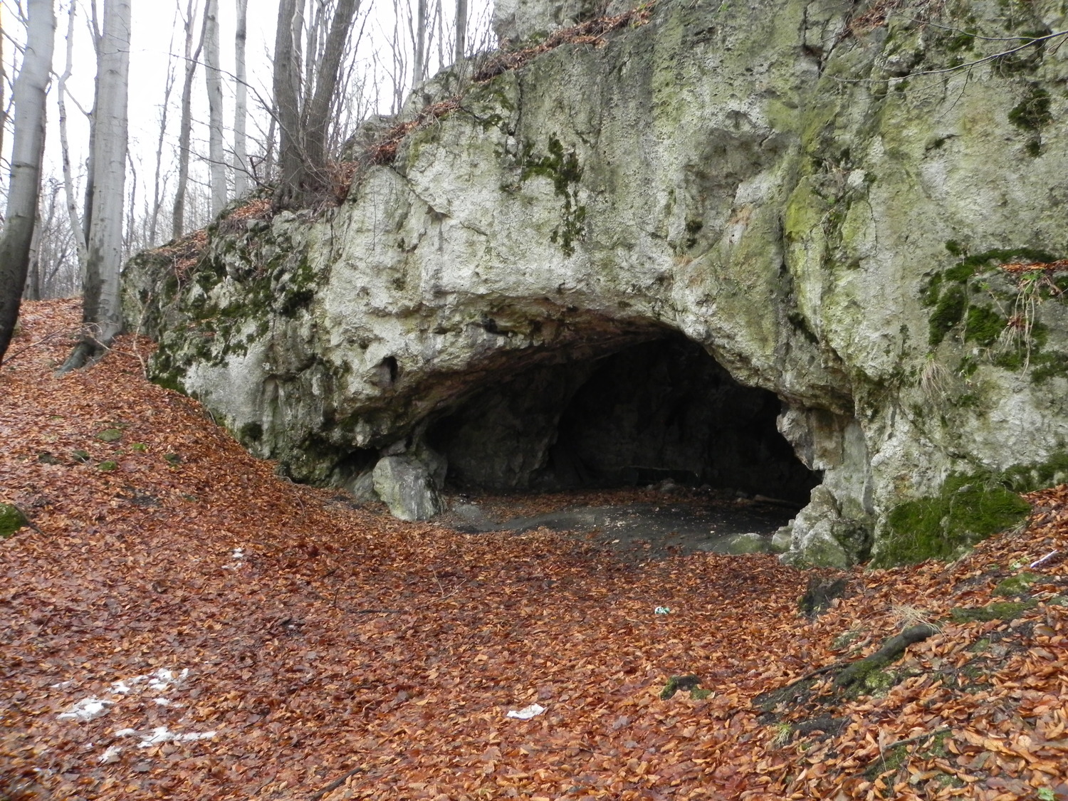 The entrance to the Maszycka Cave in southern Poland.