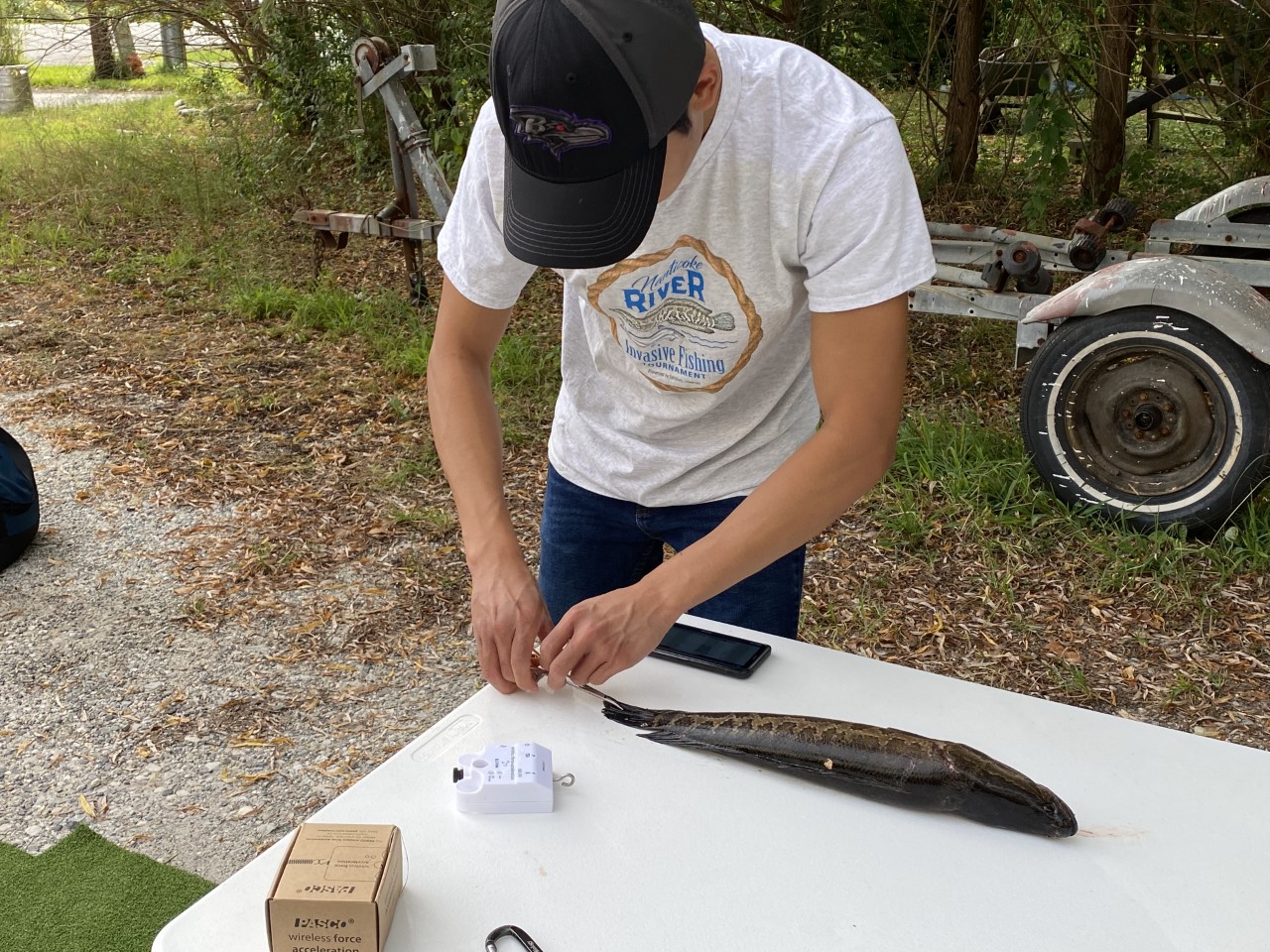 man attached device to dead fish on a plastic table