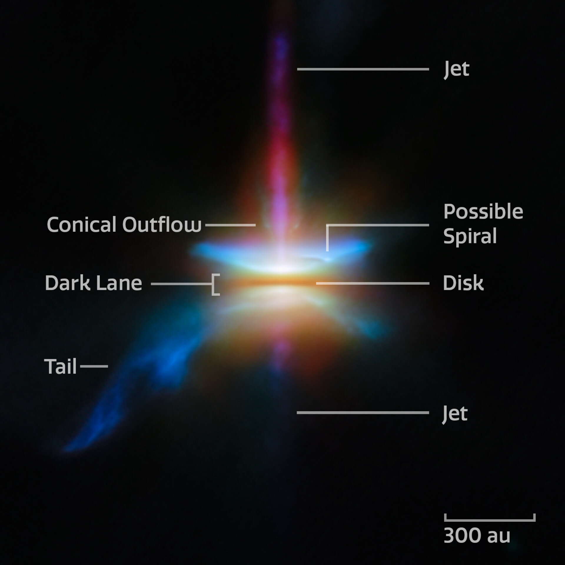 This new NASA/ESA/CSA James Webb Space Telescope Picture of the Month presents HH 30 in unprecedented resolution. This target is an edge-on protoplanetary disc that is surrounded by jets and a disc wind, and is located in the dark cloud LDN 1551 in the Taurus Molecular Cloud.  Herbig-Haro objects, like HH 30, are luminous regions surrounding newborn stars (known as protostars). They form when stellar winds or jets of gas spewing from these newborn stars form shockwaves as they collide with nearby gas and dust at high speeds.  HH 30 is of particular interest to astronomers. In fact, the HH 30 disc is considered the prototype of an edge-on disc, thanks to its early discovery with the NASA/ESA Hubble Space Telescope. Discs seen from this view are a unique laboratory to study the settling and drift of dust grains. An international team of astronomers have used Webb to investigate the target in unprecedented detail. By combining Webb’s observations with those from the Hubble Space Telescope and the Atacama Large Millimeter/submillimeter Array (ALMA), the team was able to study the multiwavelength disc appearance of the system and its dynamic structures.  These Webb observations were taken as part of the Webb GO programme #2562 (PI F. Ménard, K. Stapelfeldt), which aims to understand how dust evolves in edge-on discs like HH 30. Combined with the keen radio-wavelength eyes of ALMA, these observations show that large dust grains must migrate within the disc and settle in a thin layer. The creation of a narrow, dense layer of dust is an important stage in the process of planet formation. In this dense region, dust grains clump together to form pebbles and eventually planets themselves. In addition to the behaviour of dust grains, the Webb, Hubble, and ALMA images reveal several distinct structures that are nested within one another. Emerging at a 90-degree angle from the narrow central disc is a high-velocity jet of gas. The Webb data showed that clumps of gas within