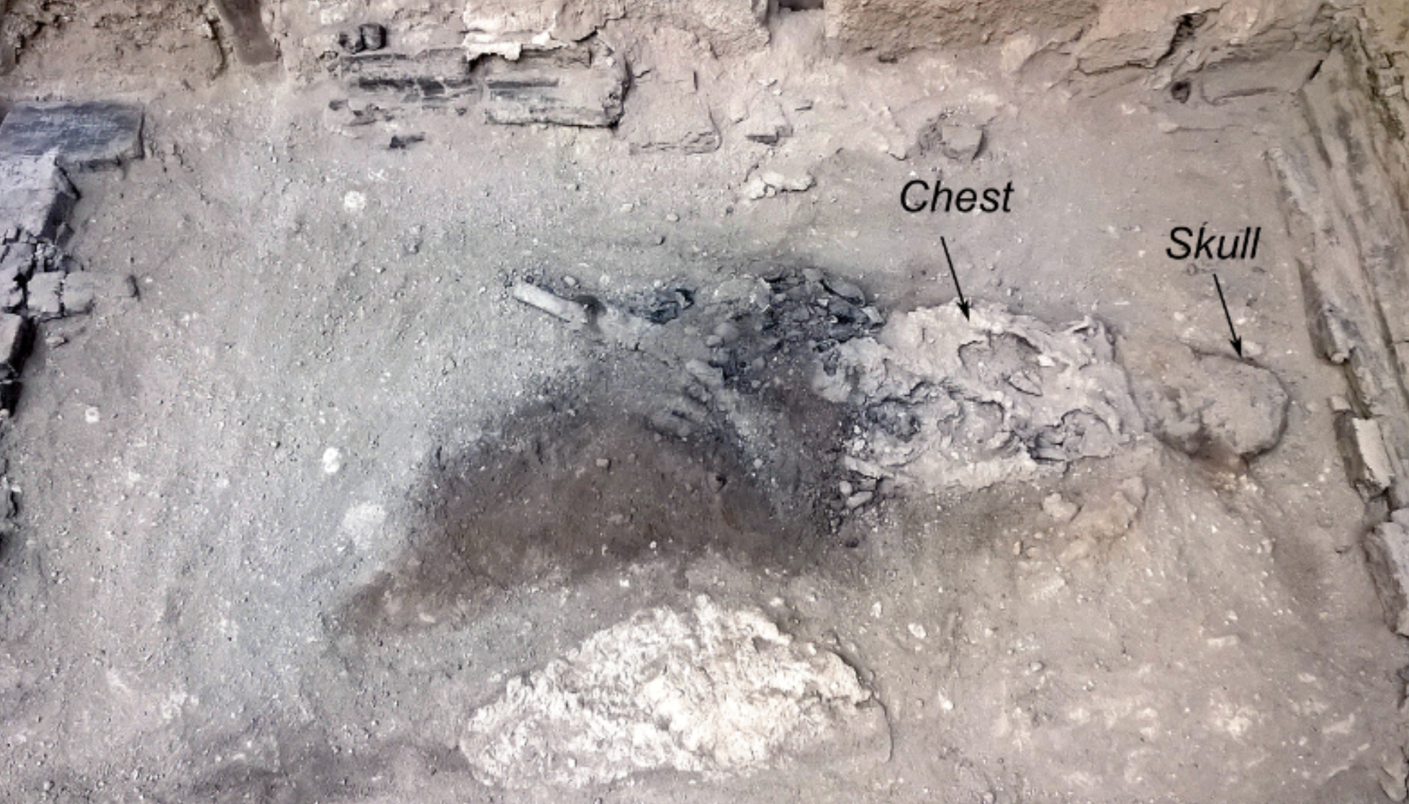 Annotated image of the remains of the deceased individual in situ in their bed in the Collegium Augustalium, Herculaneum. This is a section of Fig. 1 from the published article. Credit: Guido Giordano et al. / Scientific Reports