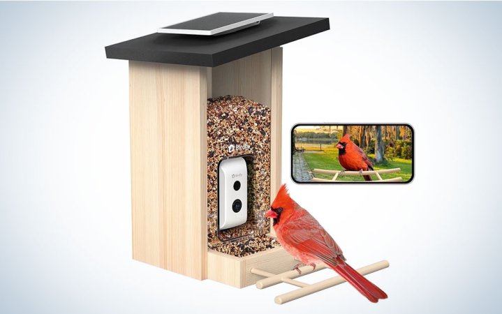  Birdfy bird feeder camera product