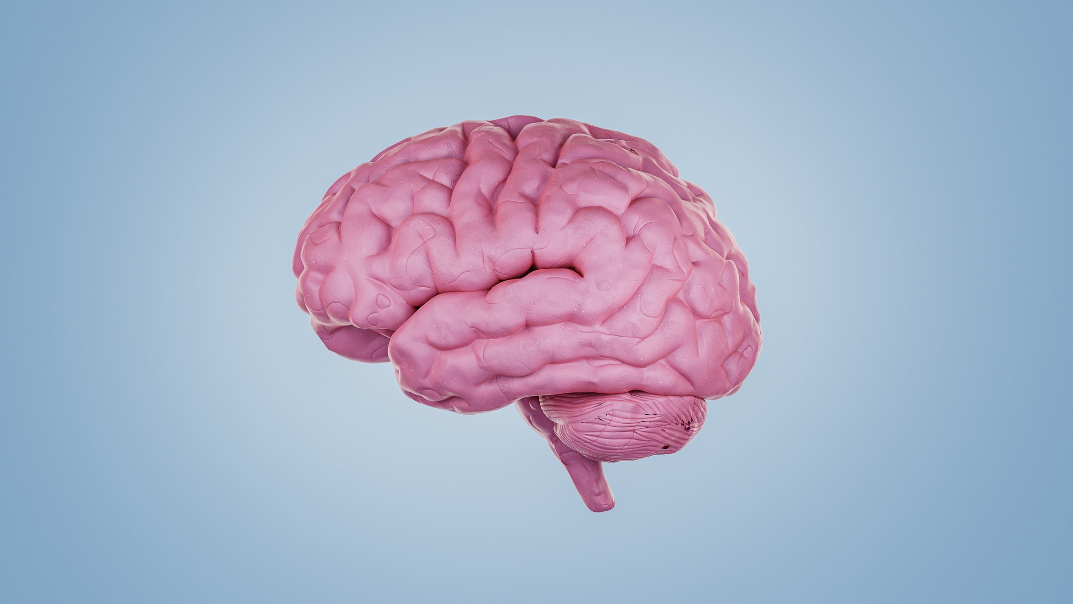 Subtle differences identified in brains of people with schizophrenia